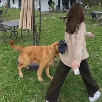 龙虎双响炮