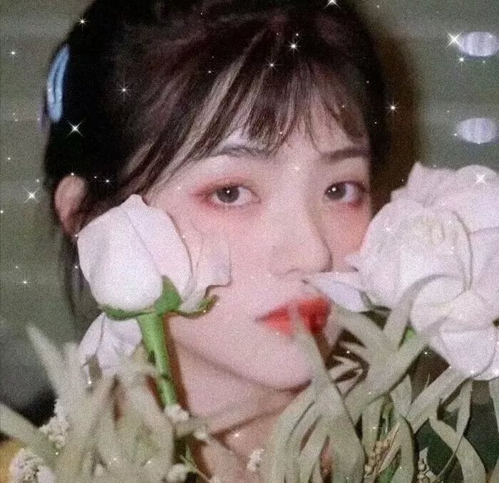 亚当变奏曲